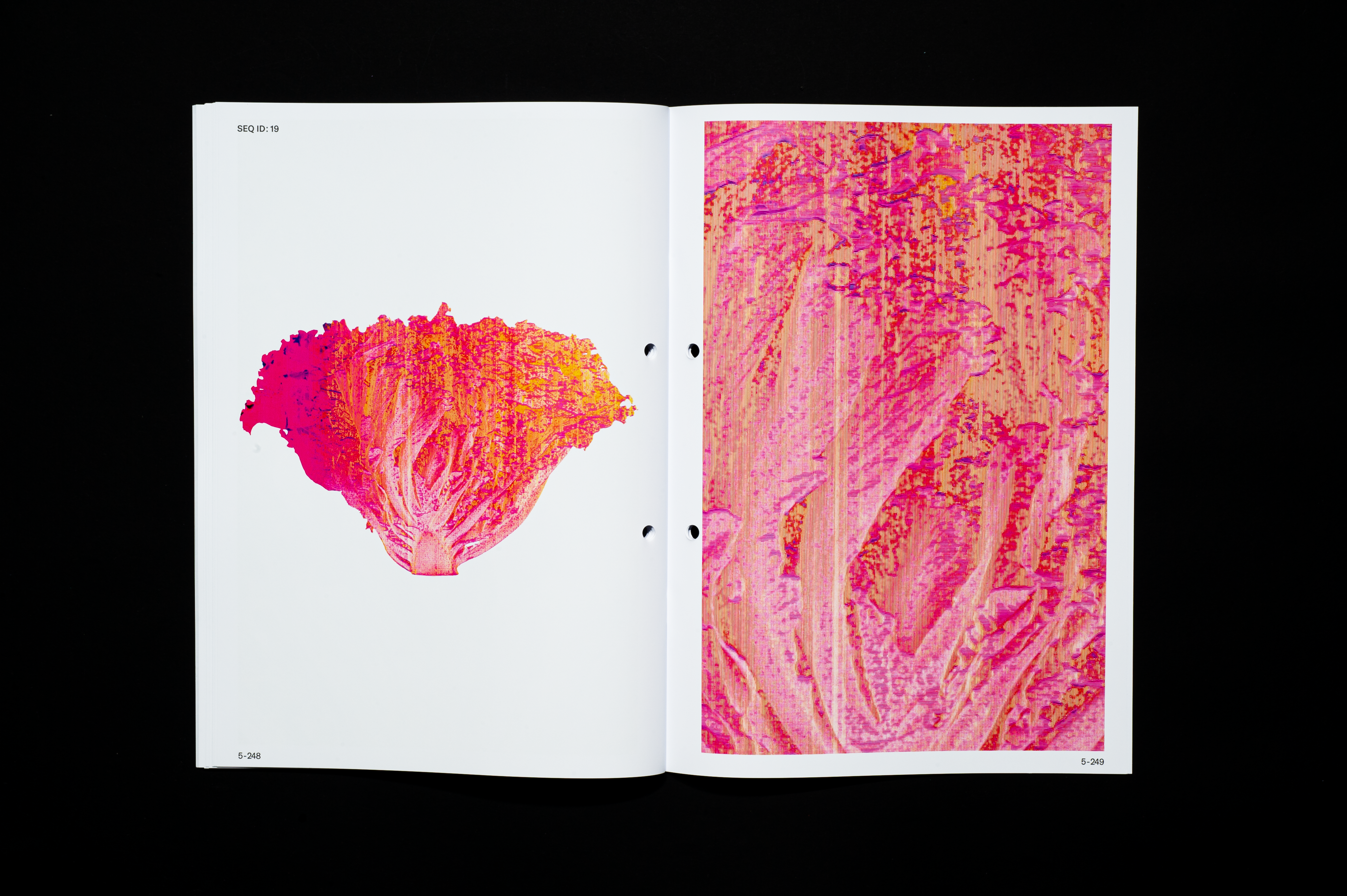 Editorial image 7