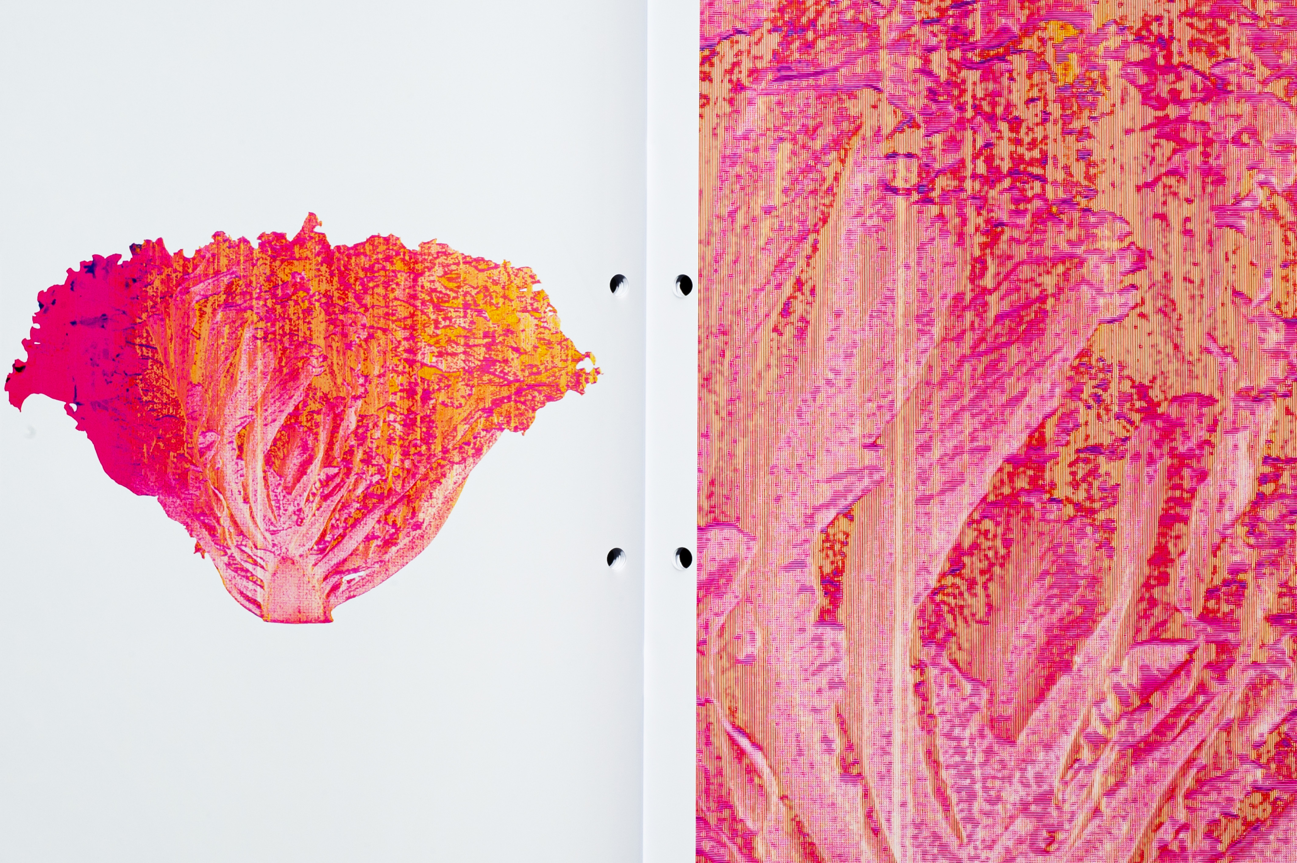 Editorial image 8