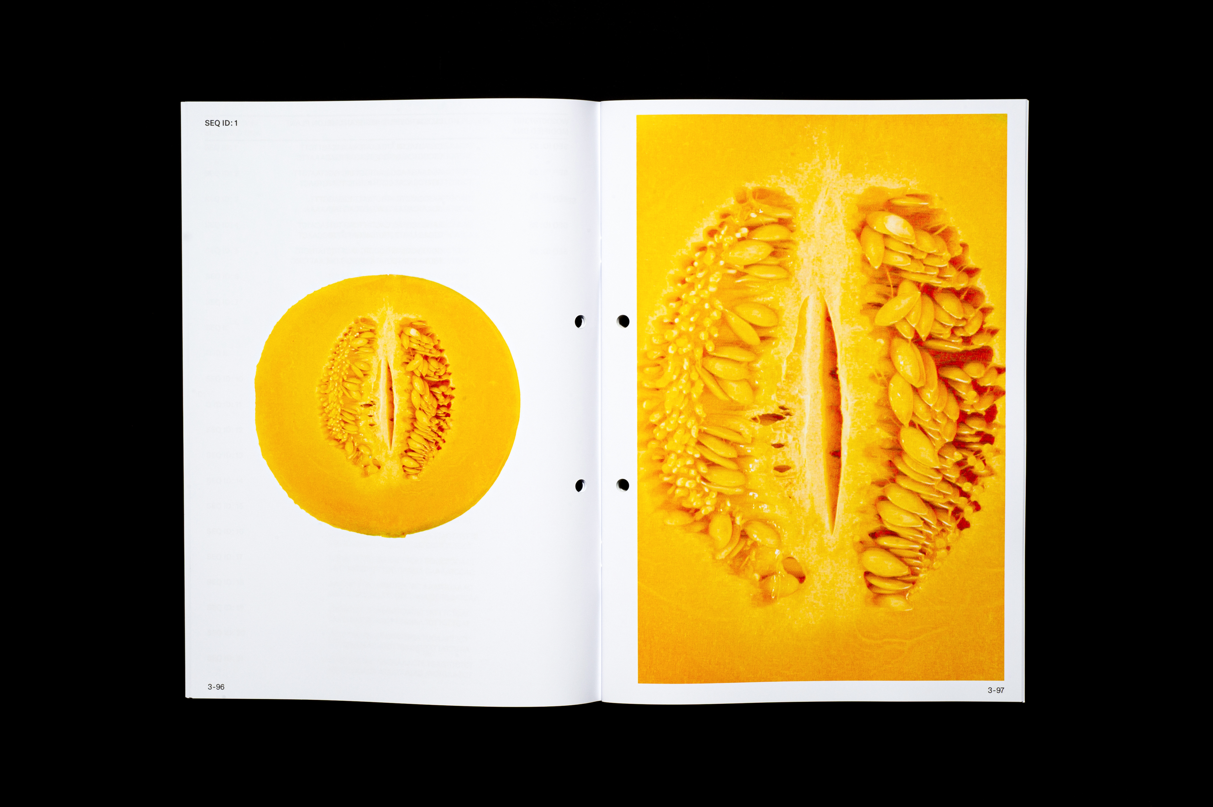 Editorial image 5