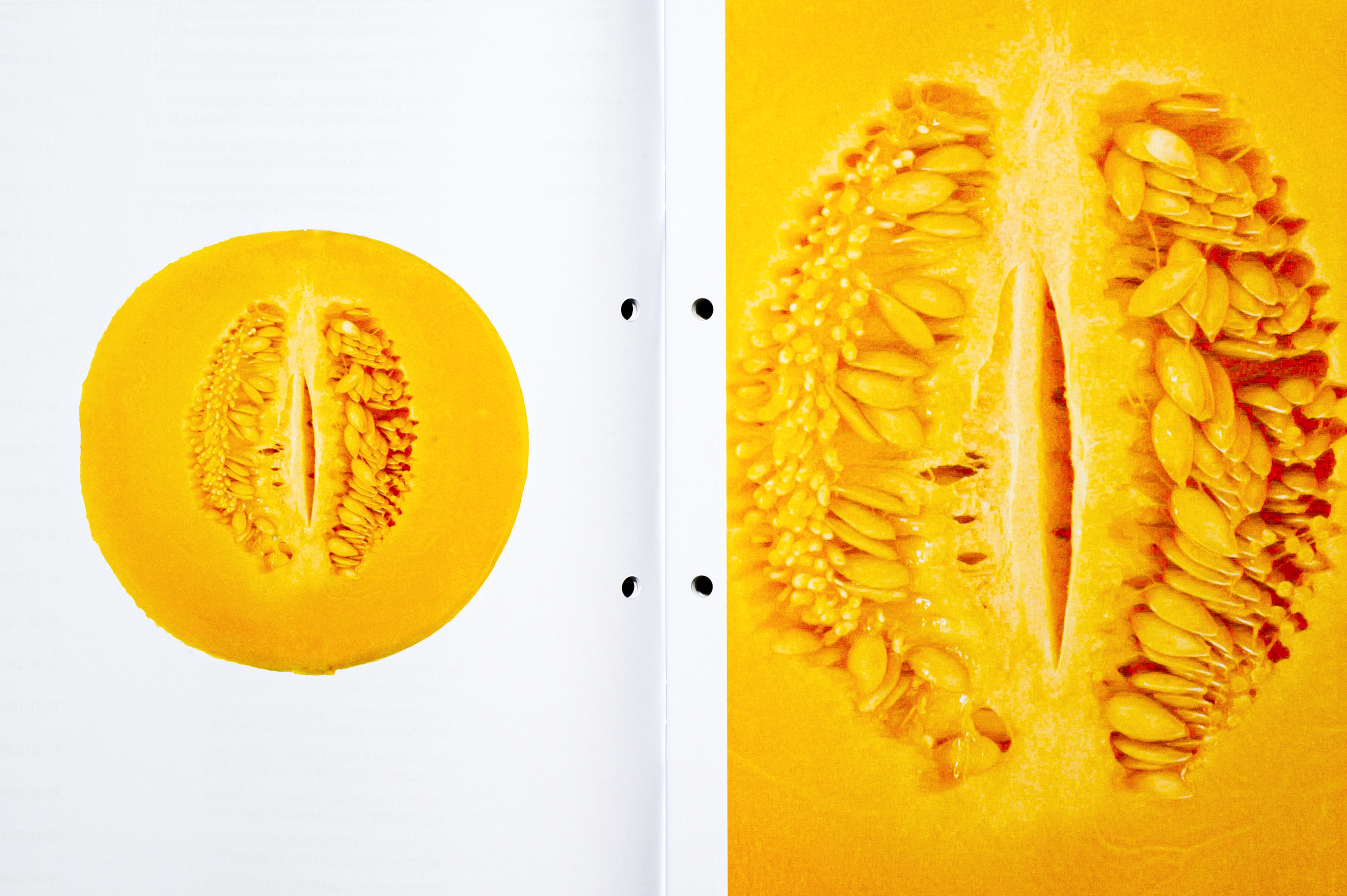 Editorial image 6